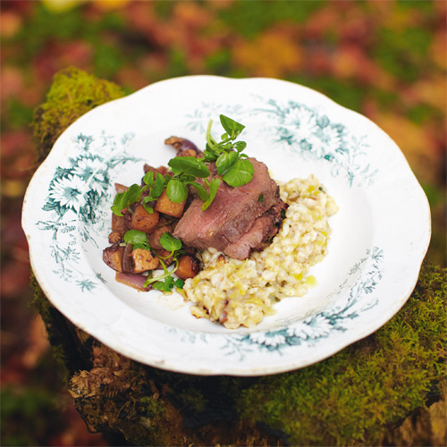 Gebakken hertenlende met risotto en hachee